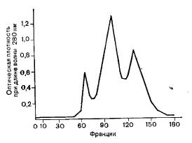 Хроматография освобожденной от липопротеидов сыворотки свиньи на сефадексе G-200
