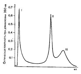 Хроматография фрагментов IgG кролика, полученных при обработке папанном, на КМ-деллюлозе