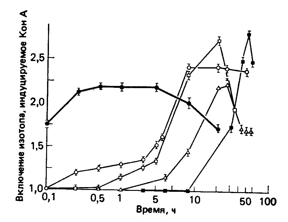 Сравнение кинетики нескольких активационных процессов, стимулируемых с помощью Кон А (1 мкг/мл) в лимфоцитах селезенки мыши.
